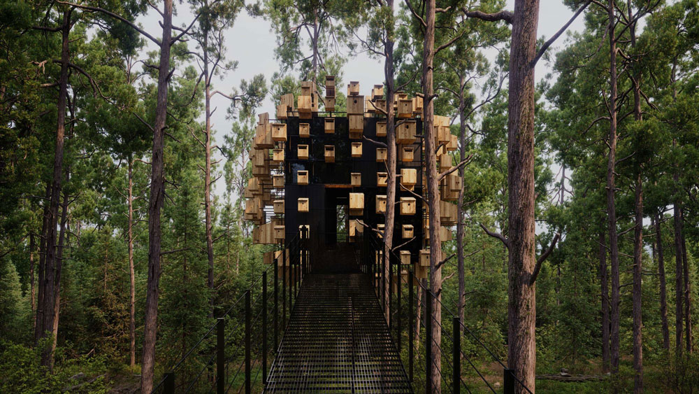 D5 Render For Architecture