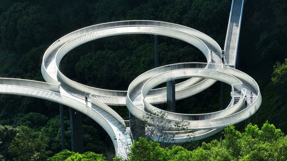 D5 Render For Landscape