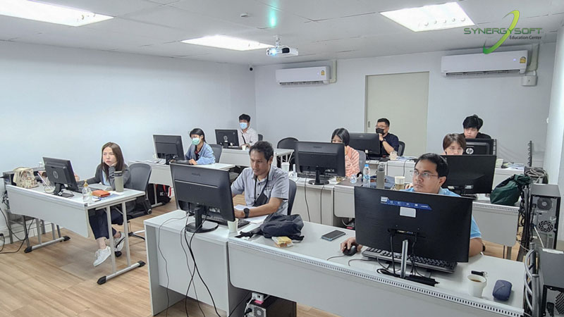 Synergysoft Education Autodesk Revit Architectural Modeling for Large Building Project Training Course