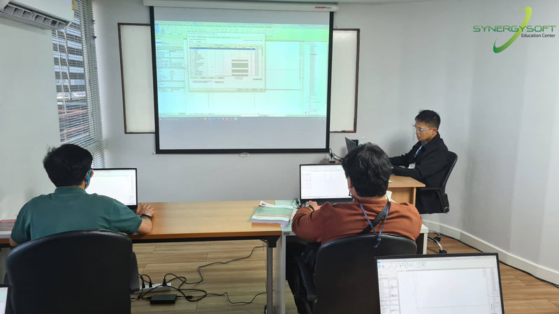 Synergysoft Education Autodesk Revit Structural Modeling for Large Building