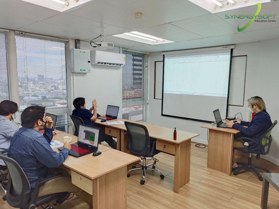 Synergysoft Education Revit Architectural Modeling