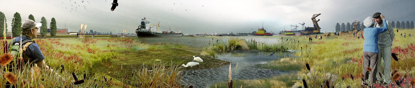 7.Synergysoft Healthy Cities