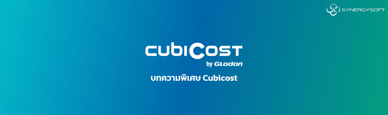 Special Articles : Cubicost